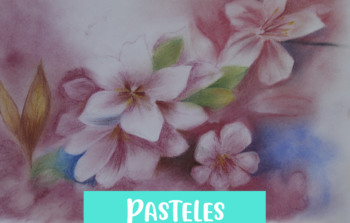 05 Pasteles